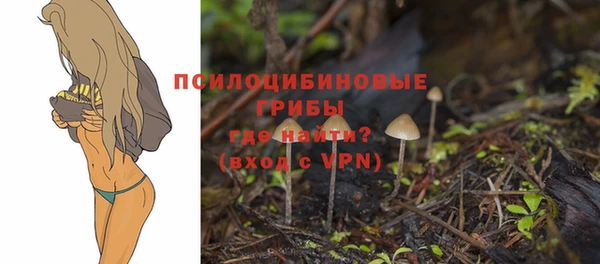 хмурый Богородицк