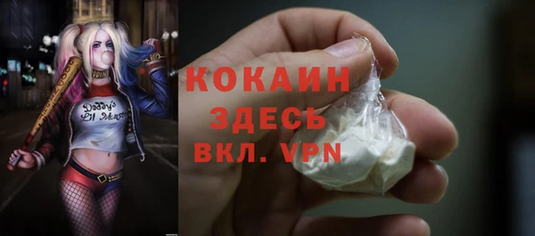 хмурый Богородицк