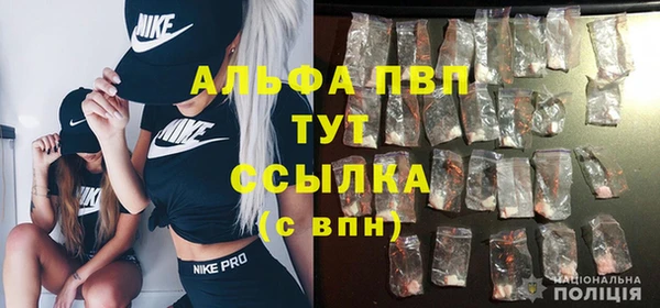 хмурый Богданович