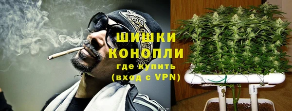 хмурый Богородицк